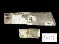 藏品(犀肋骨)的圖片